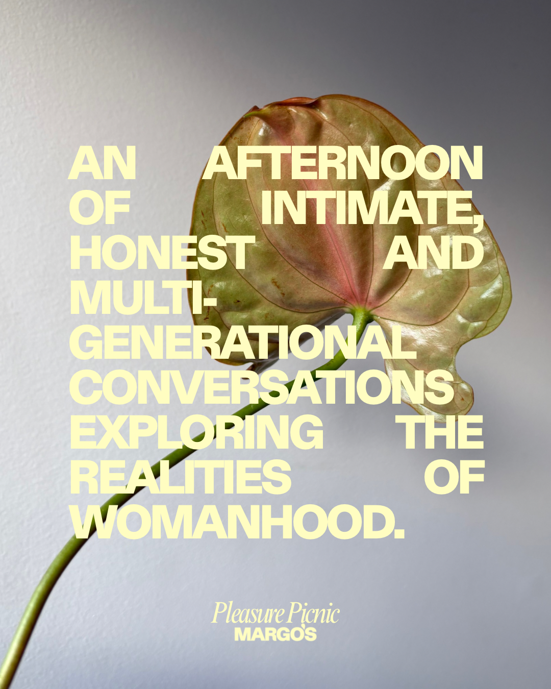 Pleasure Picnic 'Womanhood' - IWD Edition MAR 08