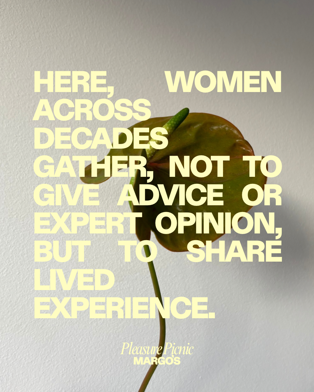 Pleasure Picnic 'Womanhood' - IWD Edition MAR 08