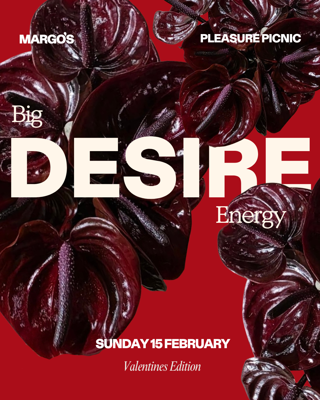 Pleasure Picnic 'Big Desire Energy' - Valentines Edition FEB 15