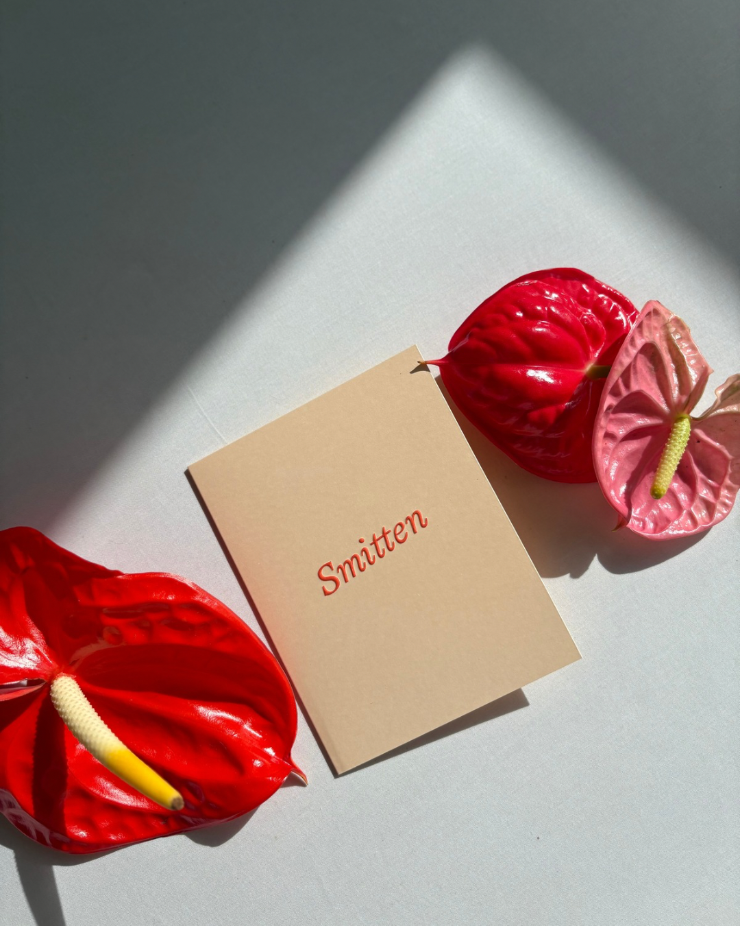 'Smitten' Greeting Card by Short Talk